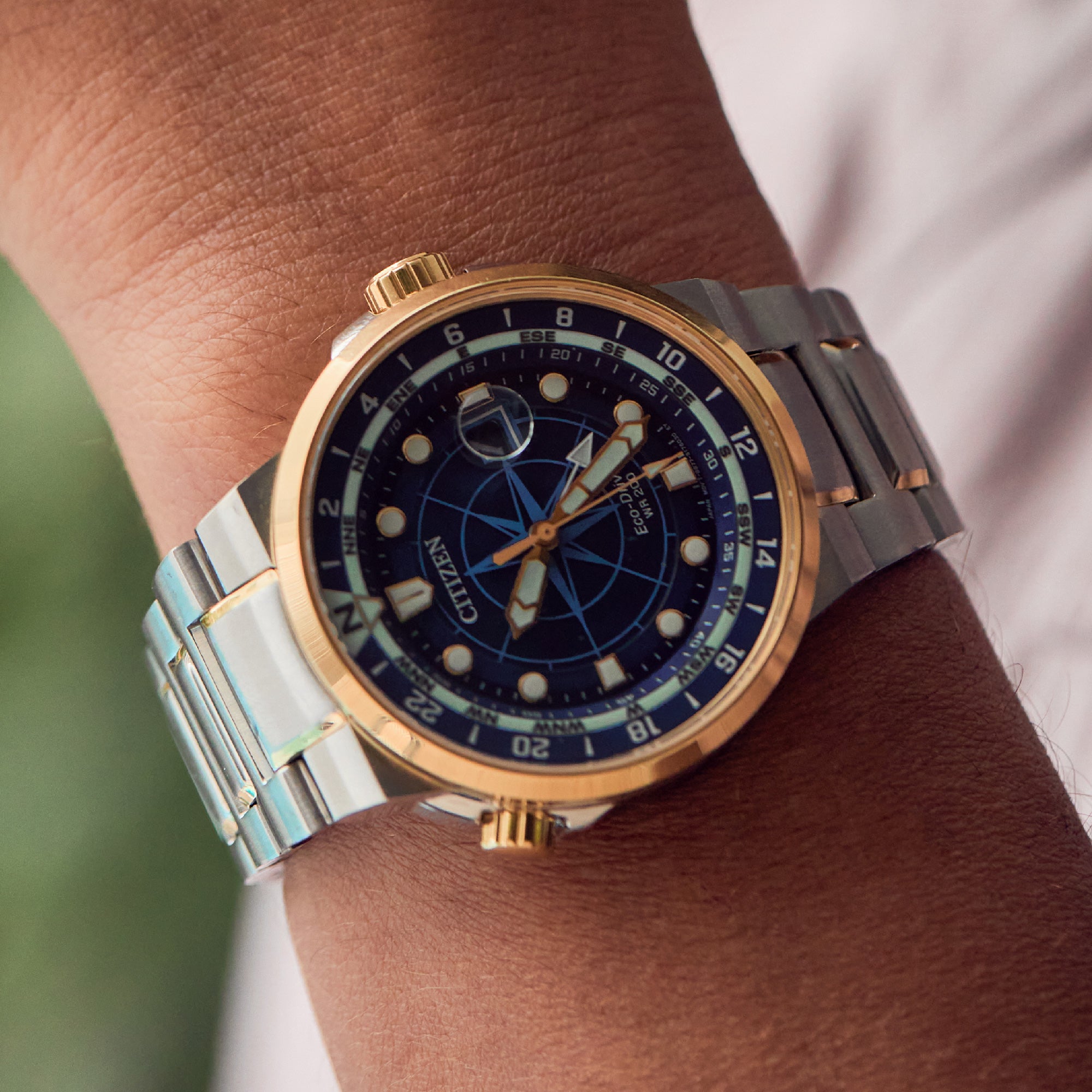 カジュアル EDH CITIZEN COLLECTION WATCH HINODE COLLECTION CB5879-53E LIMITED