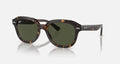 ERIK UNISEX Havana / Green |  Dial