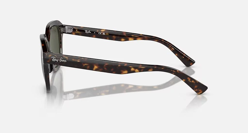 ERIK UNISEX Havana / Green |  Dial