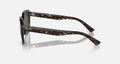ERIK UNISEX Havana / Green |  Dial