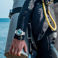Piccard Green / Stainless Steel | Green Dial