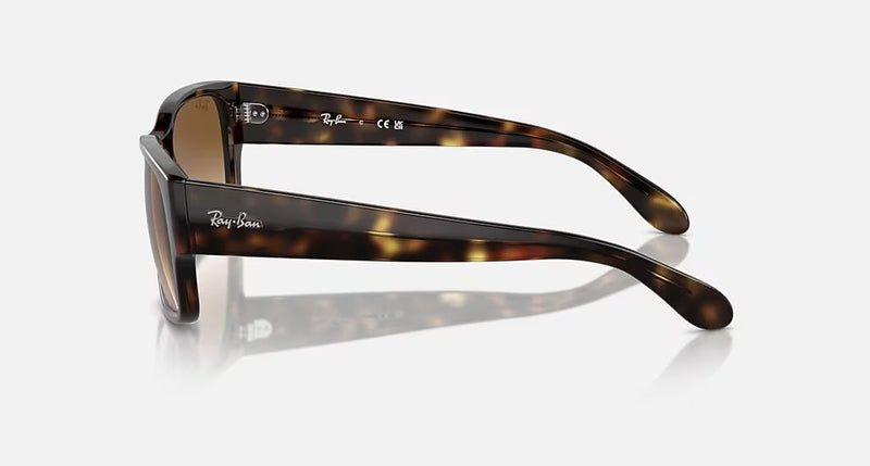 RB4388 UNISEX Havana / Clear Gradient Brown |  Dial