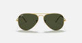 AVIATOR CLASSIC UNISEX / GOLD - GREEN CLASSIC |  Dial