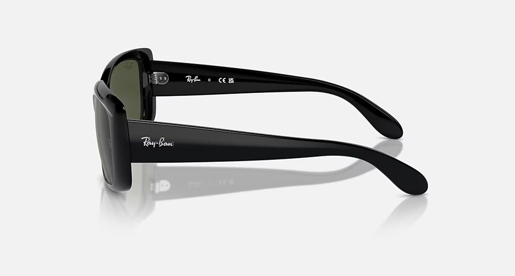 RB4389 WOMEN'S Black / Green |  Dial