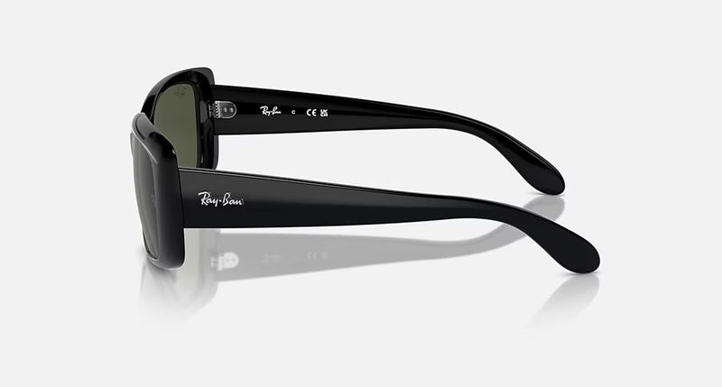 RB4389 WOMEN'S Black / Green |  Dial
