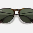 ERIKA CLASSIC MENS / LIGHT HAVANA-GREEN |  Dial