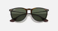 ERIKA CLASSIC MENS / LIGHT HAVANA-GREEN |  Dial