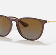 ERIKA CLASSIC LADIES / TRANSPARENT DARK BROWN-BROWN GRADIENT POLAR