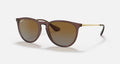 ERIKA CLASSIC LADIES / TRANSPARENT DARK BROWN-BROWN GRADIENT POLAR