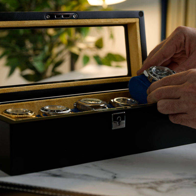 Mainspring Raceday Monte Carlo 5-Slot Collector Box (Black) Mainspring