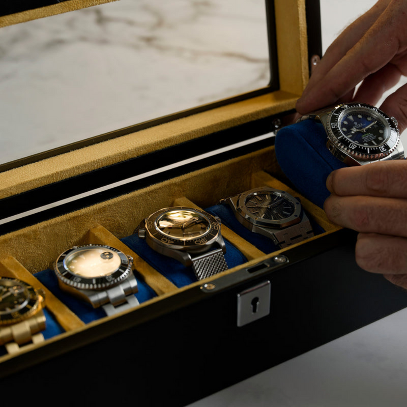 Mainspring Raceday Monte Carlo 5-Slot Collector Box (Black) Mainspring