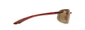 BANYANS UNISEX / TORTOISE/HCL BRONZE