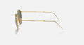 ROUND FLAT LENSES MENS / ARISTA - CRYSTAL GREEN |  Dial