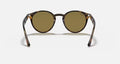 RB2180 MEN'S Dark Havana / Dark Brown