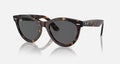 WAYFARER WAY UNISEX Havana / Dark Grey