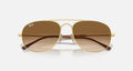 BAIN BRIDGE UNISEX / ARISTA-CLEAR GRADIENT BROWN