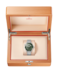 Seamaster Diver 300M