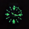 Super Sea Wolf Skin Diver Stainless Steel Green | Green Dial