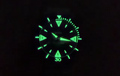 Super Sea Wolf Skin Diver Stainless Steel Green | Green Dial