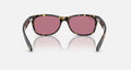 NEW WAYFARER CLASSIC UNISEX / HAVANA-VIOLET PHOTO MIR GOLD