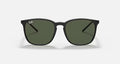 RB4387 UNISEX / BLACK-DARK GREEN