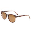 Clark Brown Tortoise/Brown |  Dial