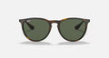 ERIKA CLASSIC MENS / LIGHT HAVANA-GREEN |  Dial