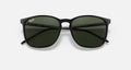 RB4387 UNISEX / BLACK-DARK GREEN