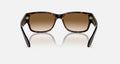RB4388 UNISEX Havana / Clear Gradient Brown |  Dial