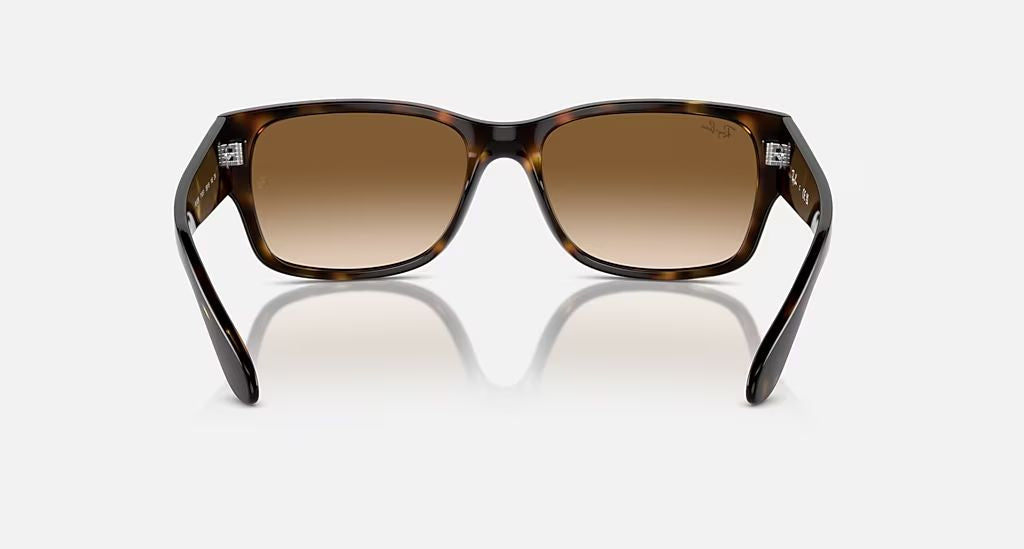 RB4388 UNISEX Havana / Clear Gradient Brown |  Dial