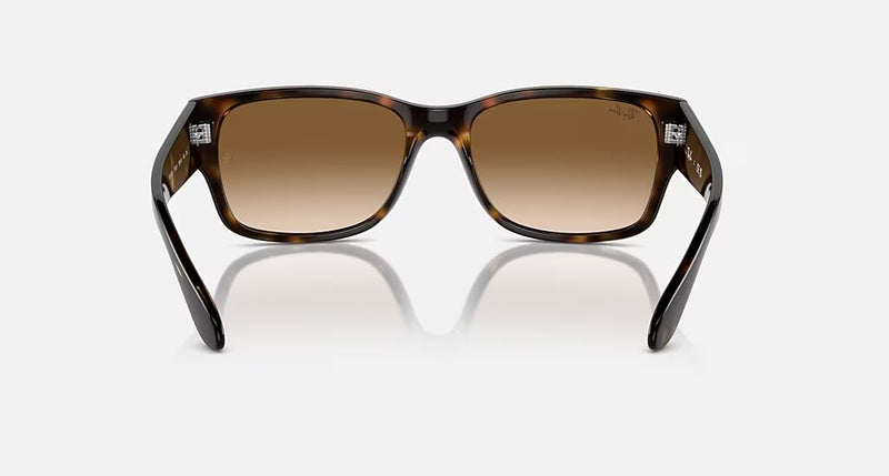 RB4388 UNISEX Havana / Clear Gradient Brown |  Dial