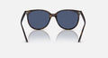 RB4378 WOMEN'S Havana / Dark Blue |  Dial