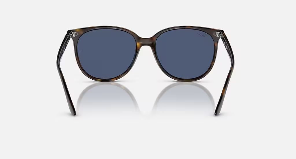 RB4378 WOMEN'S Havana / Dark Blue |  Dial