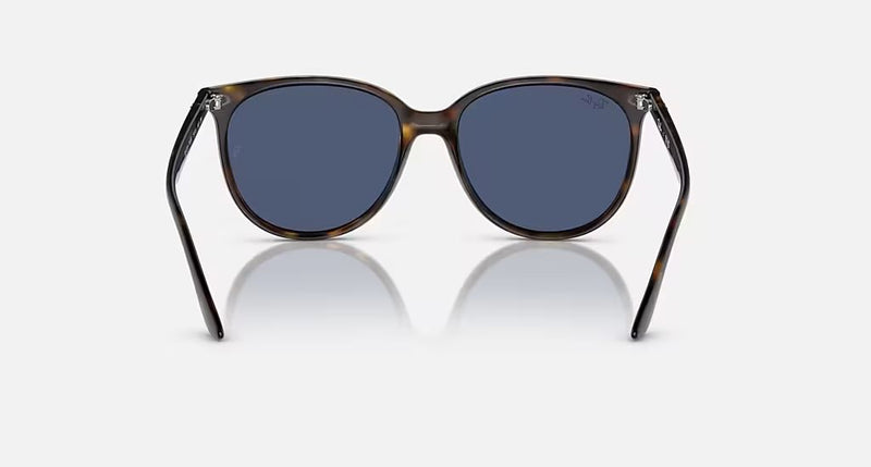 RB4378 WOMEN'S Havana / Dark Blue |  Dial