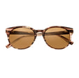 Clark Brown Tortoise/Brown |  Dial