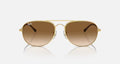 BAIN BRIDGE UNISEX / ARISTA-CLEAR GRADIENT BROWN