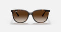 RB4378 LADIES / HAVANA-HAVANA