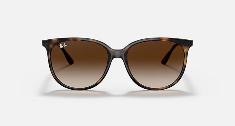RB4378 LADIES / HAVANA-HAVANA