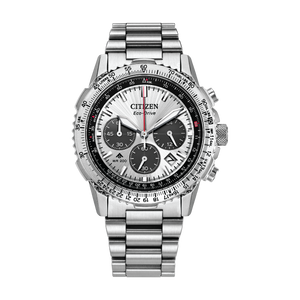 Promaster Navihawk Silver-Tone/Silver-Tone Stainless Steel Bracelet Silver Dial