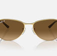 RB3733 UNISEX Arista / Brown Gradient Polar |  Dial