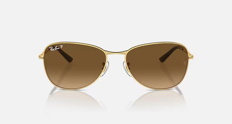 RB3733 UNISEX Arista / Brown Gradient Polar |  Dial