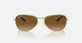 RB3733 UNISEX Arista / Brown Gradient Polar |  Dial