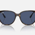 RB4378 WOMEN'S Havana / Dark Blue |  Dial