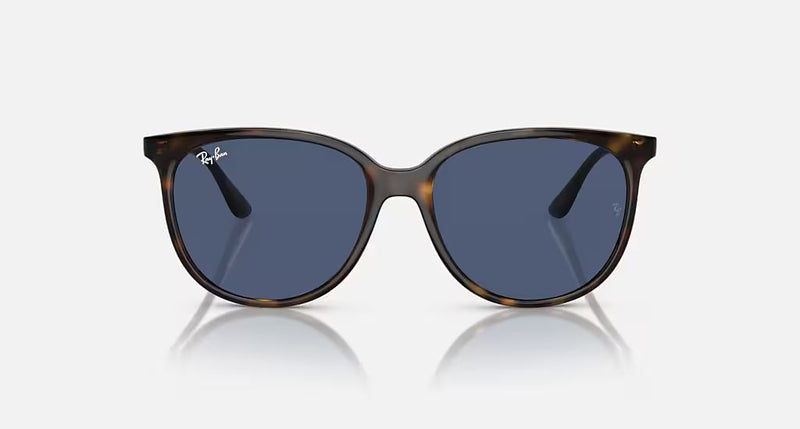 RB4378 WOMEN'S Havana / Dark Blue |  Dial