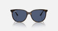 RB4378 WOMEN'S Havana / Dark Blue |  Dial