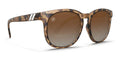 H SERIES BROWN TORTOISE / YELLOW POLARIZED |  Dial