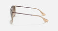 ERIKA COLOR MIX LADIES / TRANSPARENT LIGHT BROWN / BROWN GRADIENT DARK BROWN |  Dial
