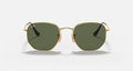 HEXAGONAL FLAT LENSES MEN'S Gold / Green