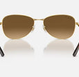 RB3733 UNISEX Arista / Brown Gradient Polar |  Dial