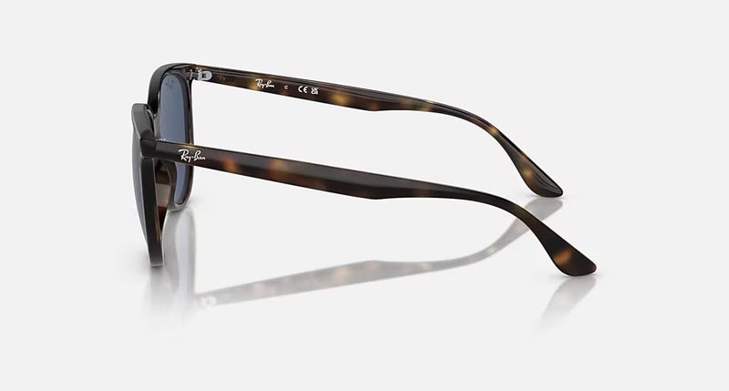 RB4378 WOMEN'S Havana / Dark Blue |  Dial